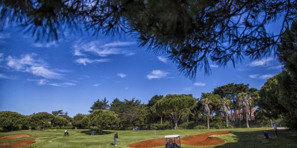 onyria quinta da marinha golf arrangement (44)
