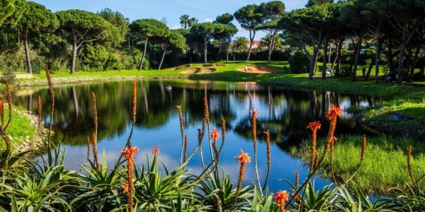 onyria quinta da marinha golf arrangement (60)