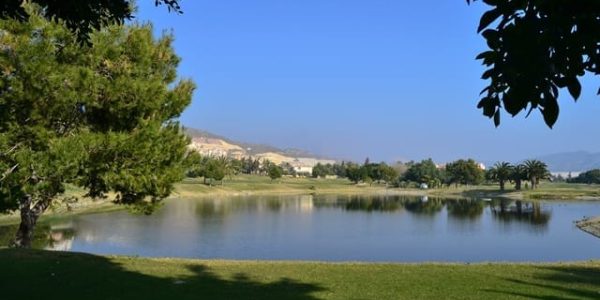 vx_Bonalba Golf Course (2)