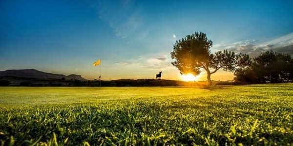 x_ Alenda Golf 2 (1)
