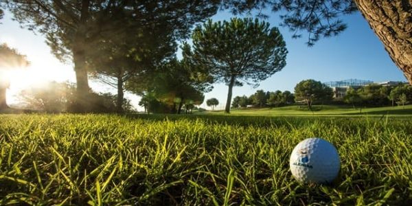 x_ Alenda Golf 2 (2)