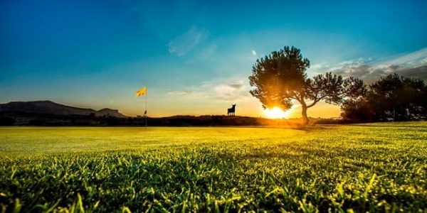 x_ Alenda Golf 22 (1)