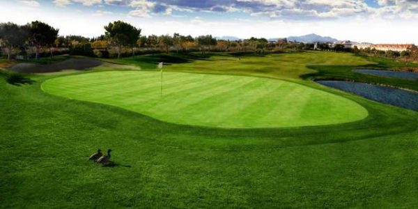 x_Alicante Golf (3)